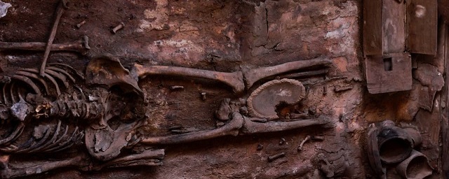 Археологи из Томска и Эрмитажа нашли уникально сохранившееся 1700-летнее захоронение